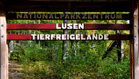 NP Bayerischer Wald Okt. 2013