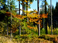 B_D5N3730_00004