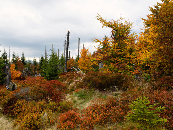 B_D5N3794_00018