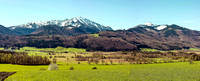 Pano Bergener Moos